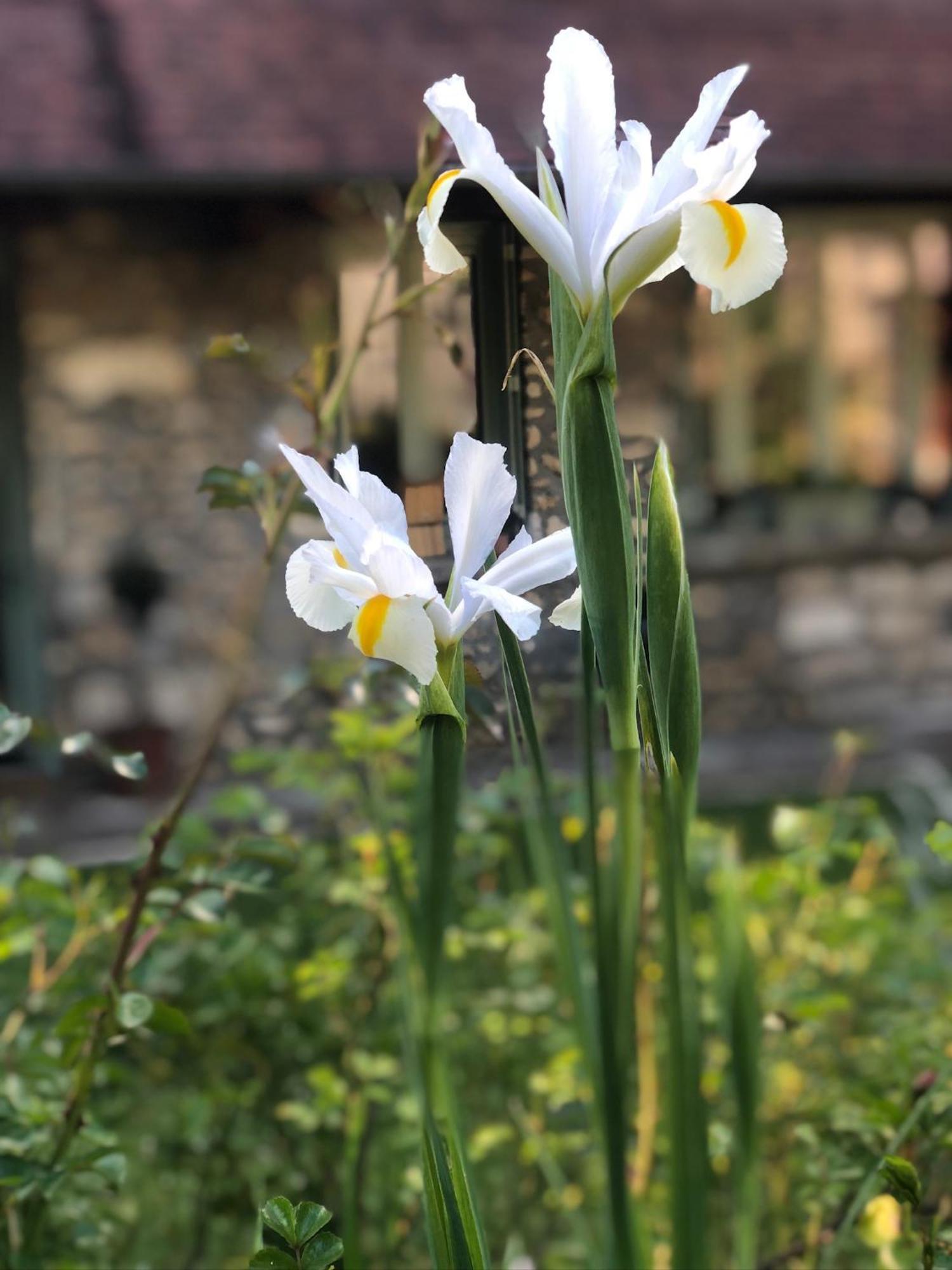 Le Clos Des Songes Blaru Exteriér fotografie